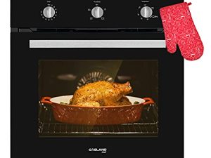 Natural Gas Oven 24 Inch