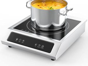 Portable Induction Cooktop
