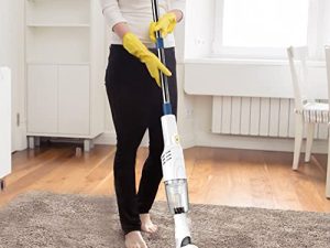 Whirlwind Wireless Vacuum Cleaner - Deep Filtration System
